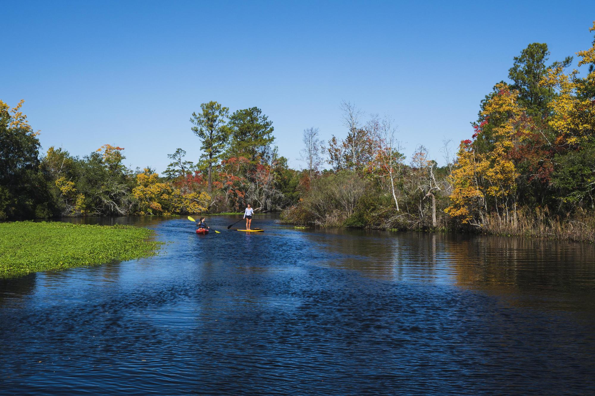 Flatwater Kayaking and SUP at Middleburg Plantation & Cooper River