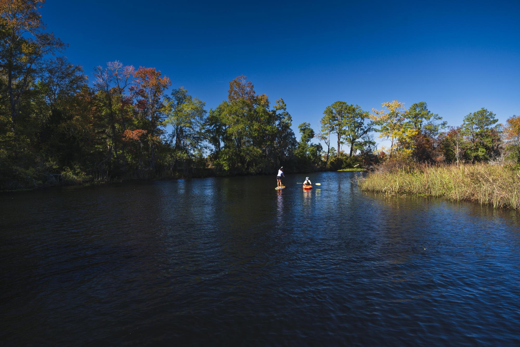 Flatwater Kayaking and SUP at Middleburg Plantation & Cooper River